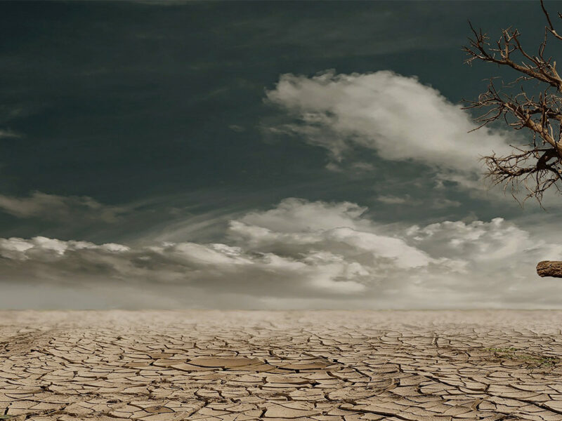 Le terrain