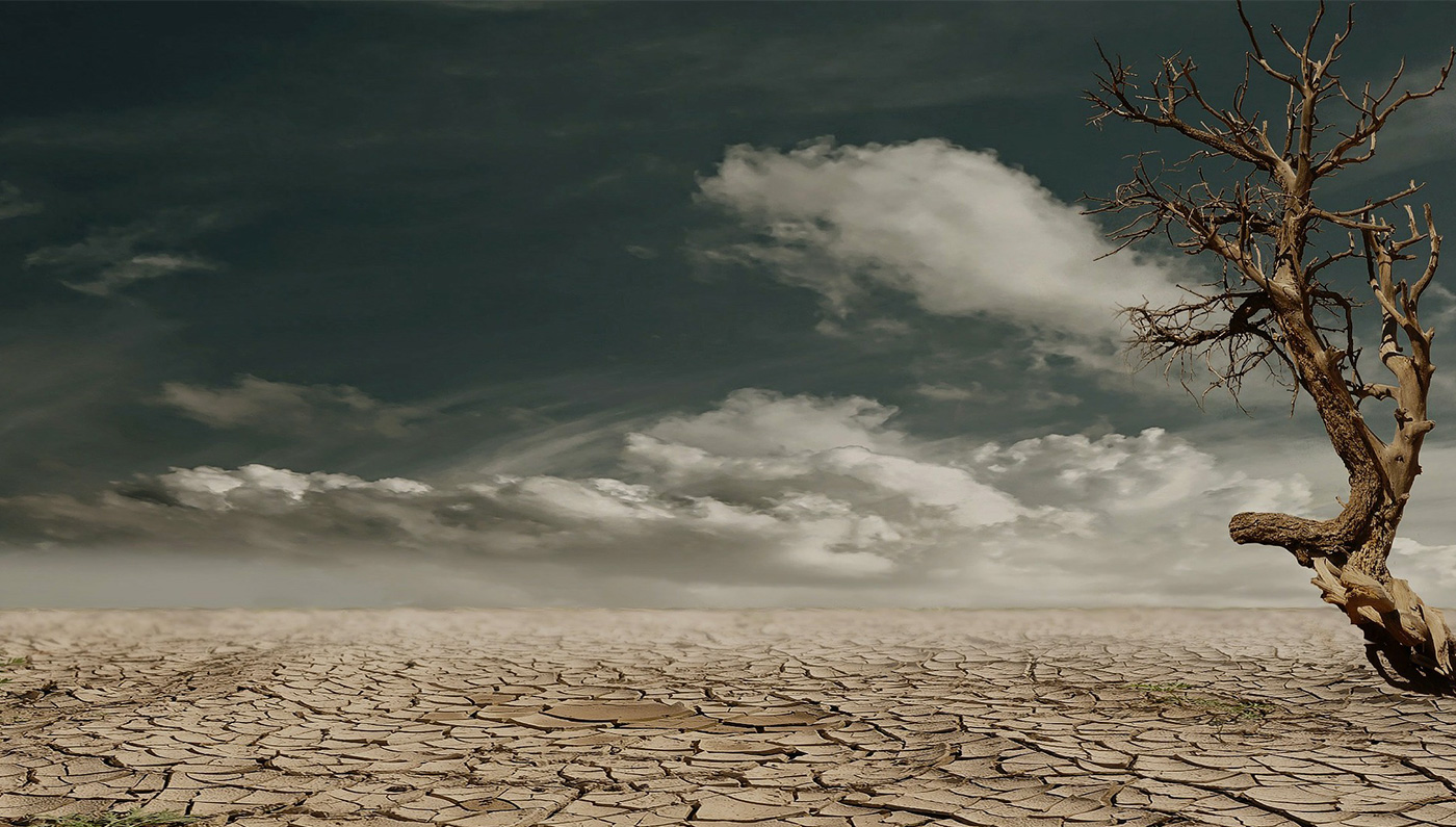 Le terrain