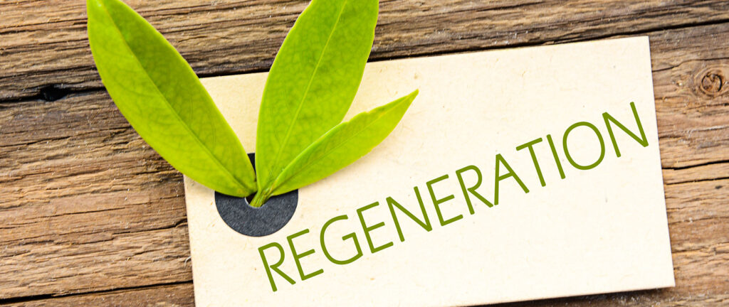 Régénérescence