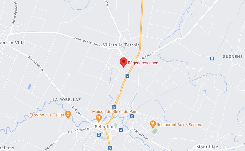 Régénérescence Coaching Santé